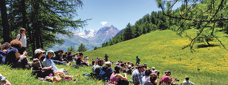 stage d'été herbaliste sur le terrain, dans les alpes