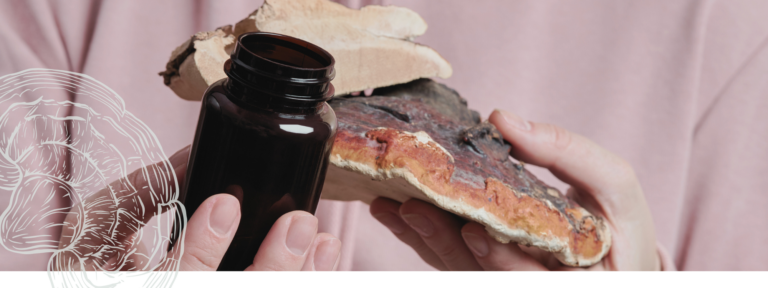 Champignons médicinaux - Mycothérapie