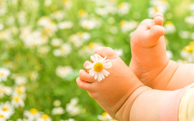 Formation plantes & pédiatrie