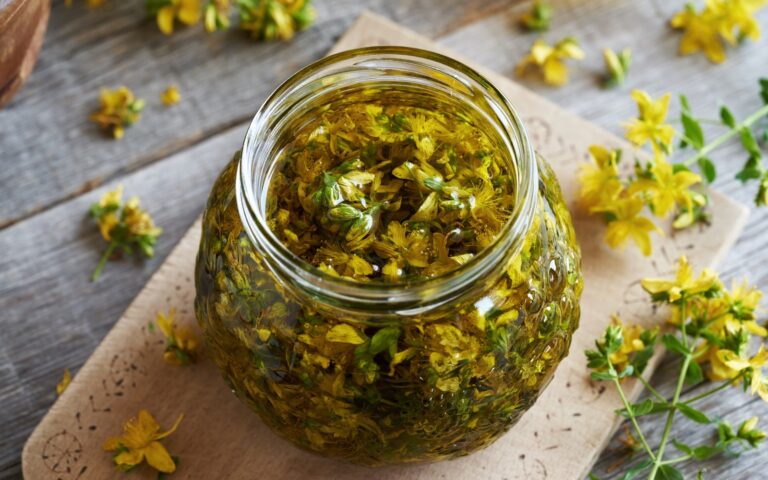 Formation Spagyrie à l'ELPM