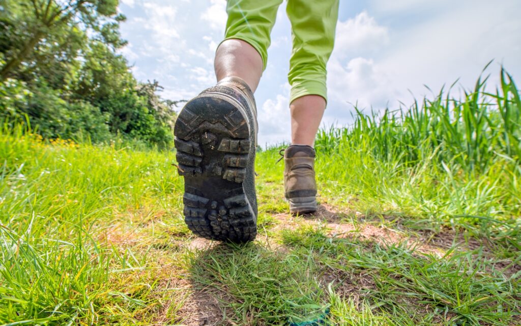 Formation Plantes & Sports