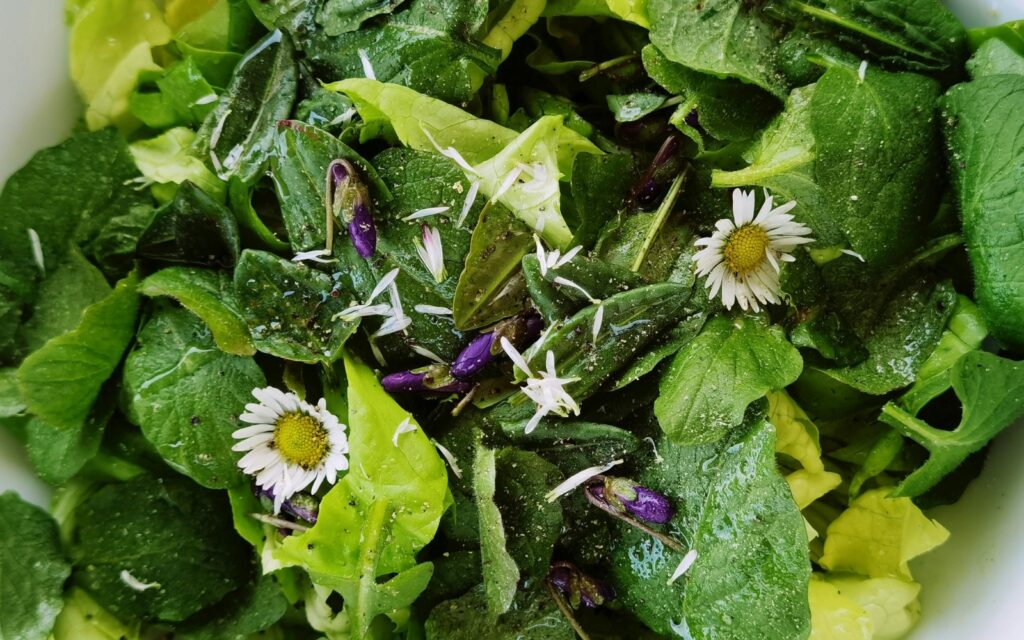 Cuisiner ses cueillettes sauvages