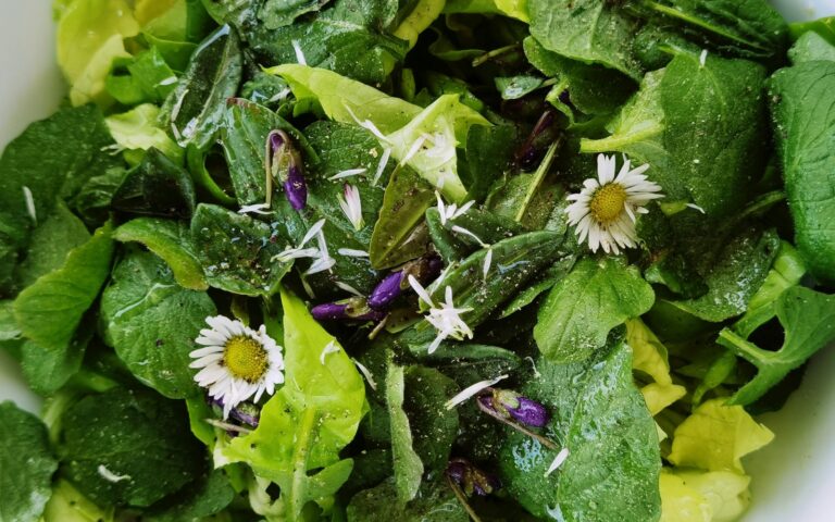 Cuisiner ses cueillettes sauvages