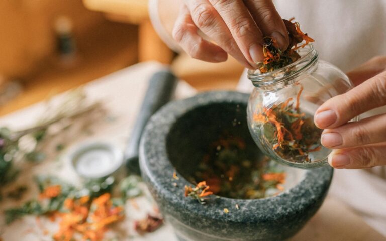 Formation à distance Plantes Médicinales