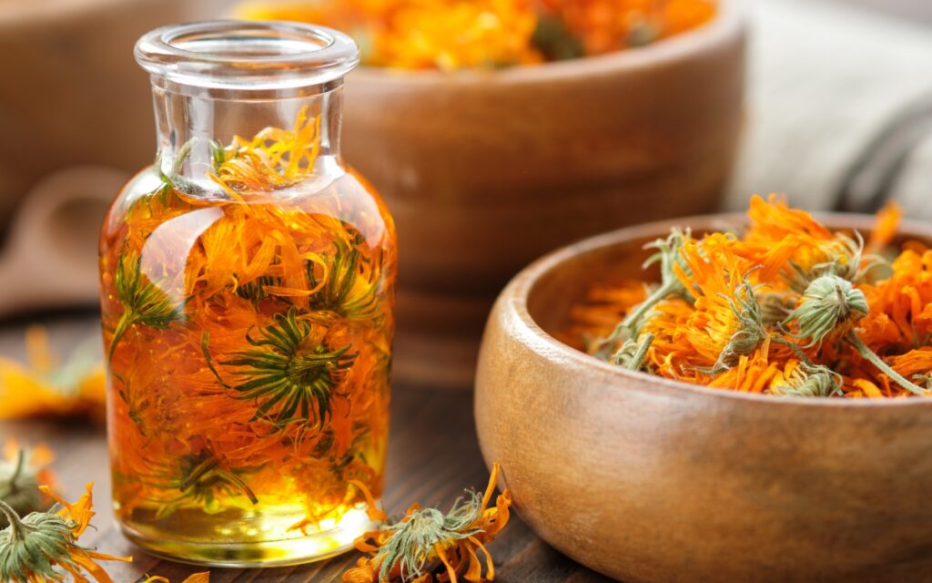 Herboristerie familiale