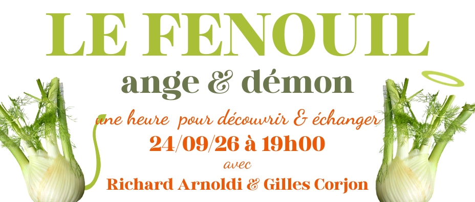 WEBINAIRE GRATUIT